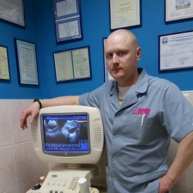 Вакцинация кошек